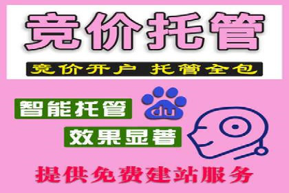 百度竞价排名服务：实战案例解析与优化技巧